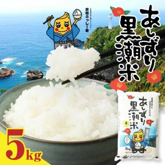 令和5年産 あしずり黒潮米5kg（コシヒカリ）精米 白米 ブランド米 ご飯