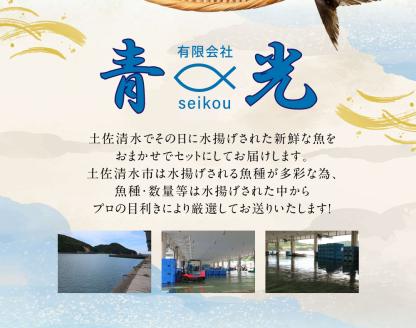 【6回定期便】季節の鮮魚 おまかせお楽しみセット（翡翠コース）天然魚 食べ比べ 魚介類 海鮮料理【J00049】