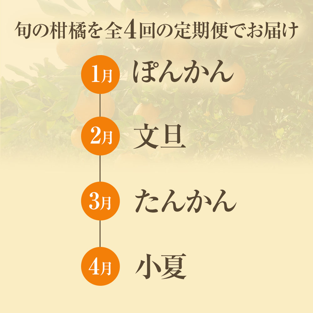 【令和８年発送】＜ 訳あり＞ オレンジ園の柑橘4種（ぽんかん・文旦・タンカン・小夏）各5kg 4回定期便 ポンカン ぶんたん 果物 蜜柑 みかん ミカン 柑橘 フルーツ デザート 常温 配送【J00100】