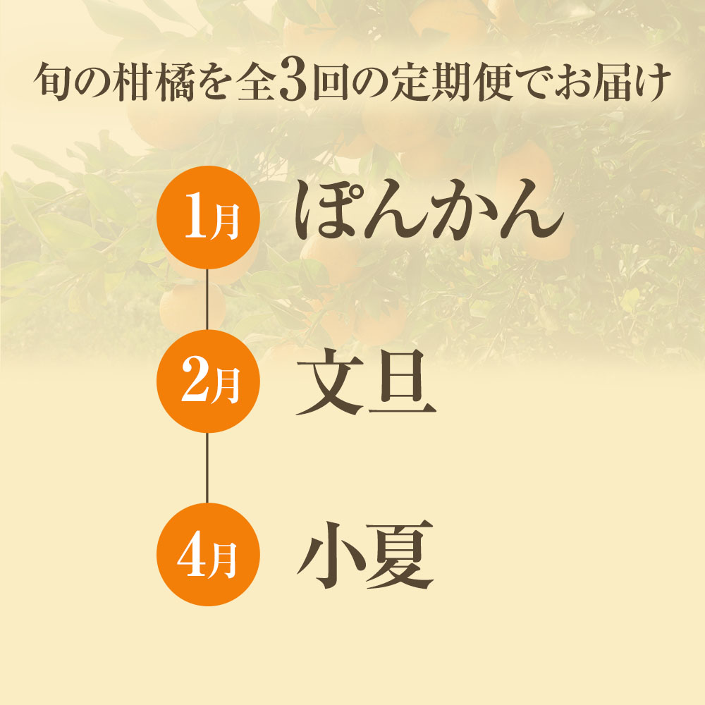 【令和８年発送】＜ 訳あり＞ オレンジ園の柑橘3種（ぽんかん・文旦・小夏）各5kg 3回定期便 ポンカン ぶんたん こなつ 果物 蜜柑 みかん ミカン 柑橘 フルーツ デザート 国産 常温 配送【J00102】