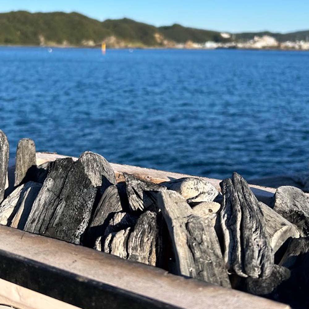 【定期便】土佐備長炭 1箱4kg×6回 ウバメガシ 姥目樫 木炭 キャンプ アウトドア バーベキュー BBQ 七輪 炭火焼き 防災グッズ ストーブ 囲炉裏 インテリア 除湿 消臭 国産【J00183】