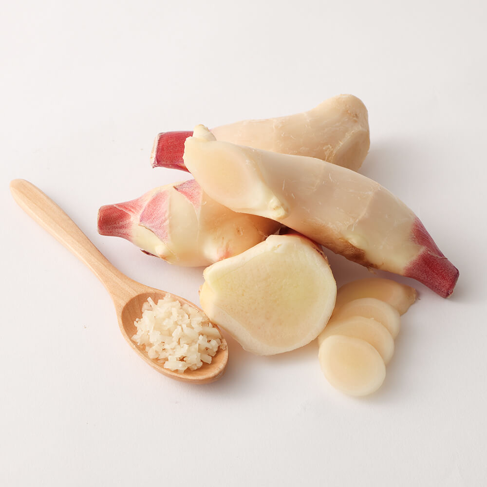 【先行受付】新生姜１kg 季節限定 農家直送 1キロ 甘酢漬け ガリ 佃煮 ジンジャーエール しょうが ショウガ 佃煮 甘酢漬け 食品 新鮮 温まる 温活 冷え対策 国産【R01547】