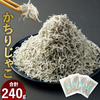 浜口海産物店のかちりじゃこ（60ｇ× 4袋）小分けセット　シラス 無添加 釜揚げ しらす丼 ちりめん丼【R00016】