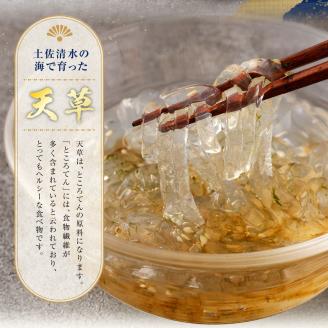 ところてんづくりキット付!天草セット(約４人前～５人前）海藻 寒天 ゼリー菓子 あんみつ【R00025】