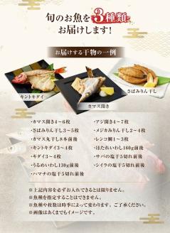 無添加 季節の干物３種類セット（ギフト・お歳暮・お中元対応）冷凍惣菜 おつまみ 塩のみ使用【R00030】