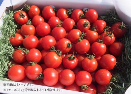 完熟フルティカトマト１kg（中玉サイズ）天然地下水使用 　甘熟ミディトマト フルーツトマト とまと 1000g 1キロ 野菜 サラダ 料理 ギフト 国産 高知県 土佐清水市【R00130】