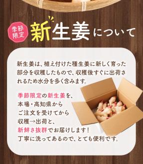 【先行受付】新生姜２kg 季節限定 農家直送 2キロ 甘酢漬け ガリ 佃煮 ジンジャーエール しょうが ショウガ 佃煮 甘酢漬け 食品 新鮮 温まる 温活 冷え対策 国産【R01548】