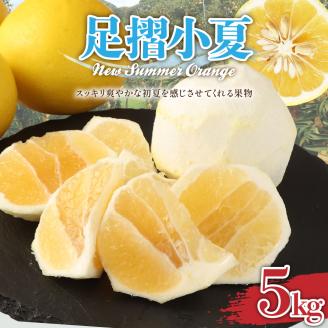 【先行予約】 早川農園の足摺小夏（5kg）日向夏 みかん ニューサマーオレンジ  柑橘 フルーツ こなつ 小夏 果物 特産 5キロ S～Lサイズ混合 美味しい 高知 【R00397】