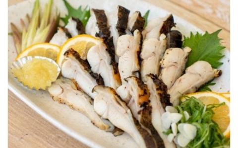 土佐の藁焼き ウツボのたたき１節300g～400g（冷凍）漁師町伝統タレ・にんにく・ネギ付 うつぼ 刺身 さしみ 淡白 白身 高知 タタキ つまみ 酒の肴 グルメ 珍味 コラーゲン【R00399】
