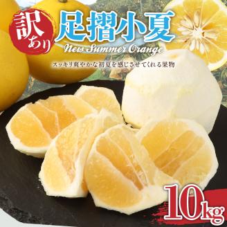 【先行予約】<訳あり>  早川農園の足摺小夏 10kg 日向夏 みかん 柑橘 フルーツ こなつ 小夏 ニューサマーオレンジ ワケあり 訳 美味しい おやつ 果物 高知 【R00435】
