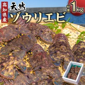 幻の天然ゾウリエビ１kg（サイズおまかせ）※着日指定不可※タビエビ 甲殻類 海老 地元ですら流通しない希少セミエビ科 　高知県産 エビ ゾウリエビ 冷蔵 配送 賞味期限が短い 新鮮 美味しい 希少 故郷納税【R00620】 