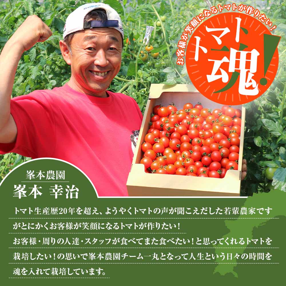 トマト魂！峯本の贅沢フルティカトマト（中玉サイズ）2kg 2キロ  ミディトマト フルーツトマト トマト ふるさと納税 フルティカ とまと サラダ 野菜 美味しい 甘い【R01032】