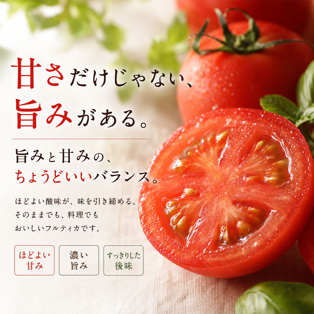 【11月発送】トマト魂！峯本の贅沢フルティカトマト（中玉サイズ）3kg 3キロ 　ミディトマト  トマト ふるさと納税 フルティカ とまと サラダ 野菜 美味しい【R01038】
