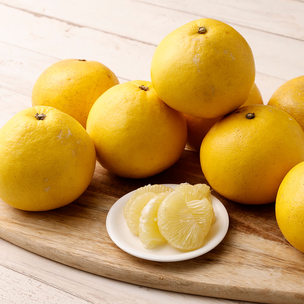 【令和８年発送】オレンジ園の土佐文旦５kg  柑橘 フルーツ ミカン みかん 蜜柑 ザボン ぶんたん ブンタン 果物 くだもの 果汁 おやつ デザート 食品 甘い 酸味【R01088】