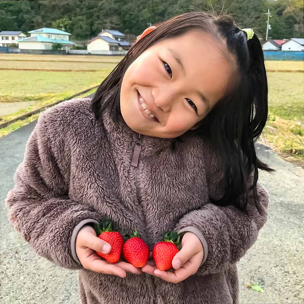 数量限定 甘くてやみつき あしずりいちご 280g×4パック イチゴ 苺 果物 フルーツ デザート スイーツ ケーキ おやつ 甘い おいしい 冷蔵 配送【R01325】