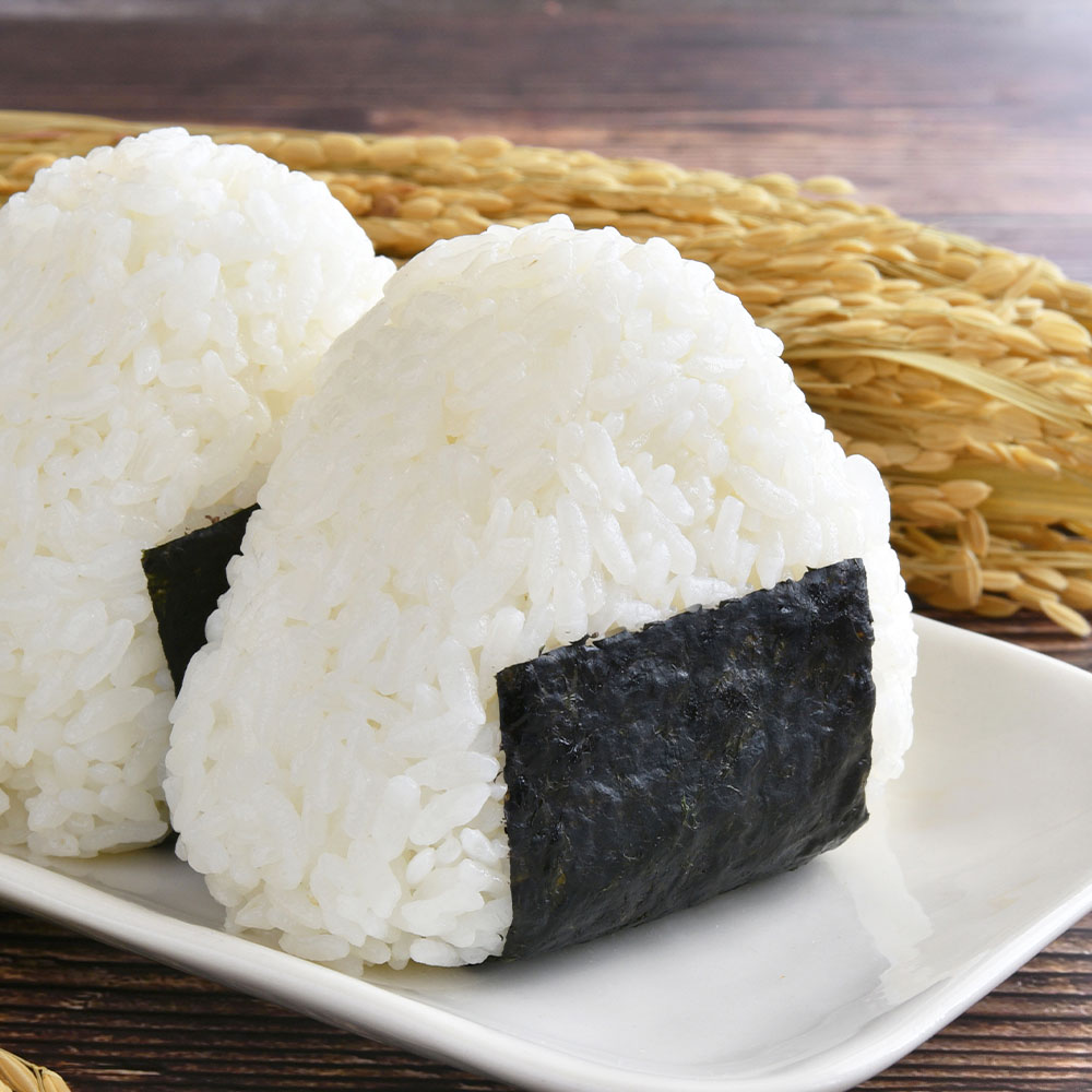 令和7年産 新米 コシヒカリ 精米 5kg 白米 お米 ご飯 ごはん おにぎり 米 こめ こしひかり 高知県産 美味しい おいしい【R01517】