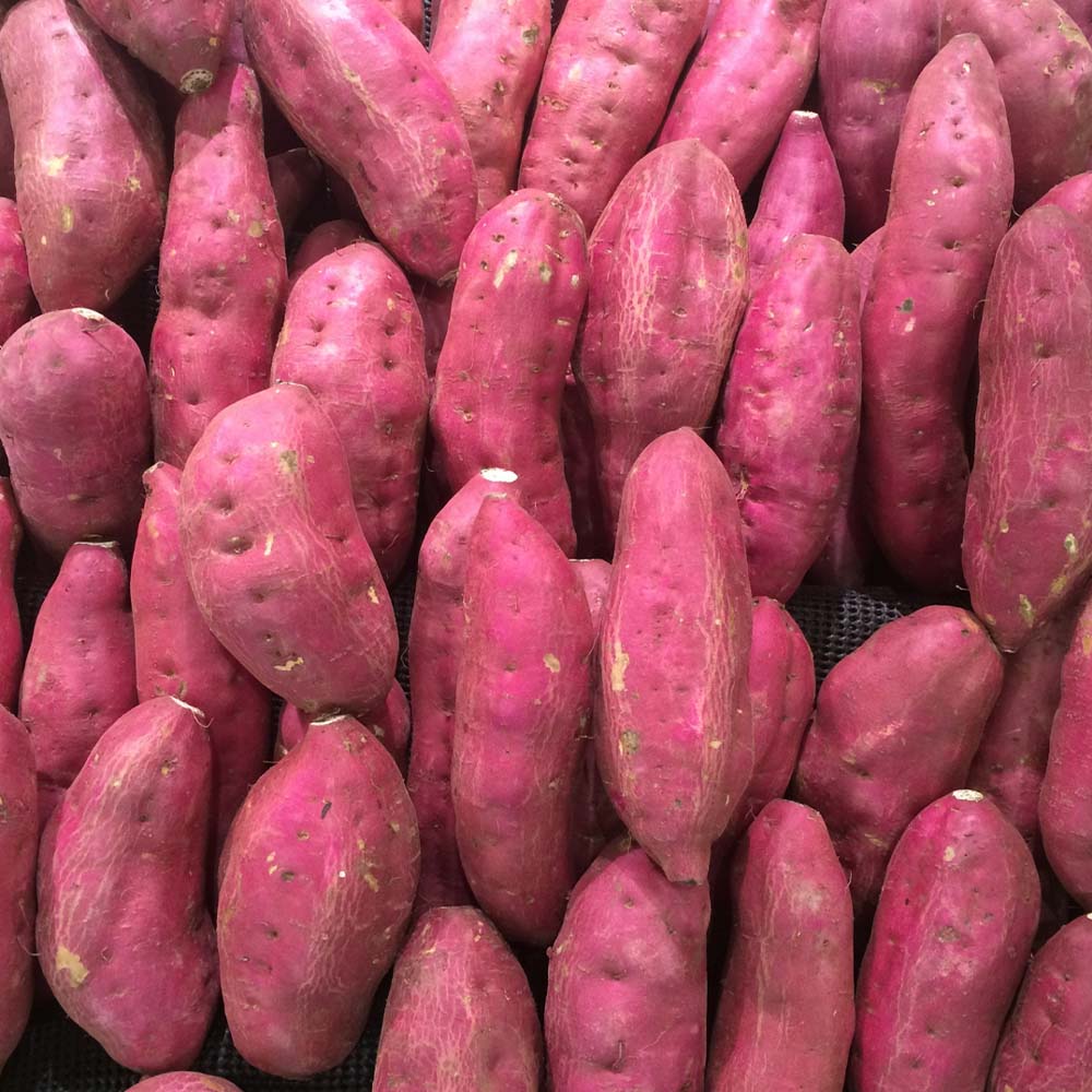 干し芋 ひいとい干し 100g×3袋 干しいも さつまいも サツマイモ 和菓子 お菓子 デザート 和スイーツ おやつ 甘い おいしい【R01515】