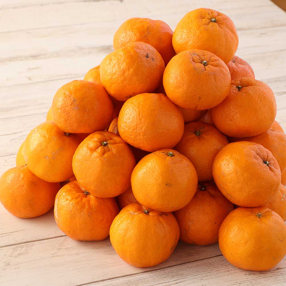 【令和8年発送】【訳あり】ぽんかん３kg（谷川果樹園）デコポンの親 みかん 蜜柑 ミカン 不知火 しらぬい 柑橘 かんきつ ポンカン フルーツ オレンジ 果物 くだもの 果汁 甘い【R01375】