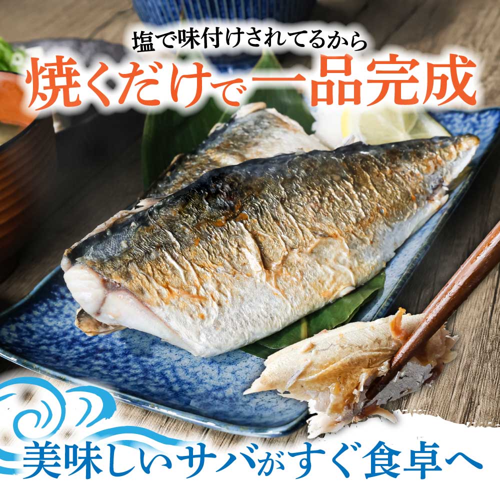 訳あり 塩サバ 3kg 約18枚 さば 鯖 味付き 魚介 海鮮 魚 おかず お弁当 ご飯 食品 保存食 簡単 国産 冷凍 配送【R01426】