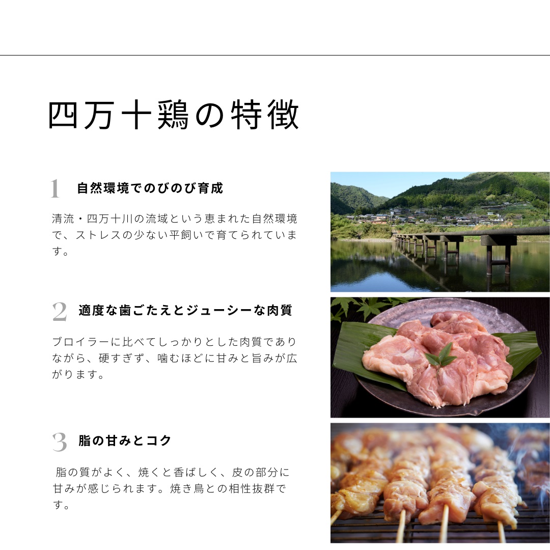 土佐備長炭焼き 四万十鶏の焼き鳥 50本 塩 たれ もも肉 冷凍 惣菜 調理済み【R01444】