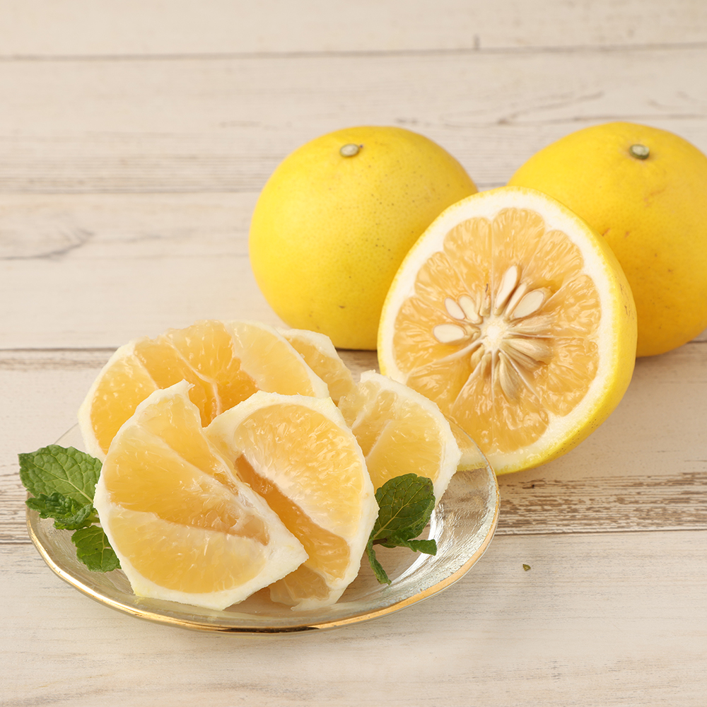 【先行予約】R8発送＜訳あり＞オレンジ園の小夏５kg 日向夏 みかん 柑橘 フルーツ 果物 こなつ ﾆｭｰｻﾏｰｵﾚﾝｼﾞ  旬 ５キロ 美味しい 食感 常温 国産 訳あり 高知県 土佐清水市【R01447】