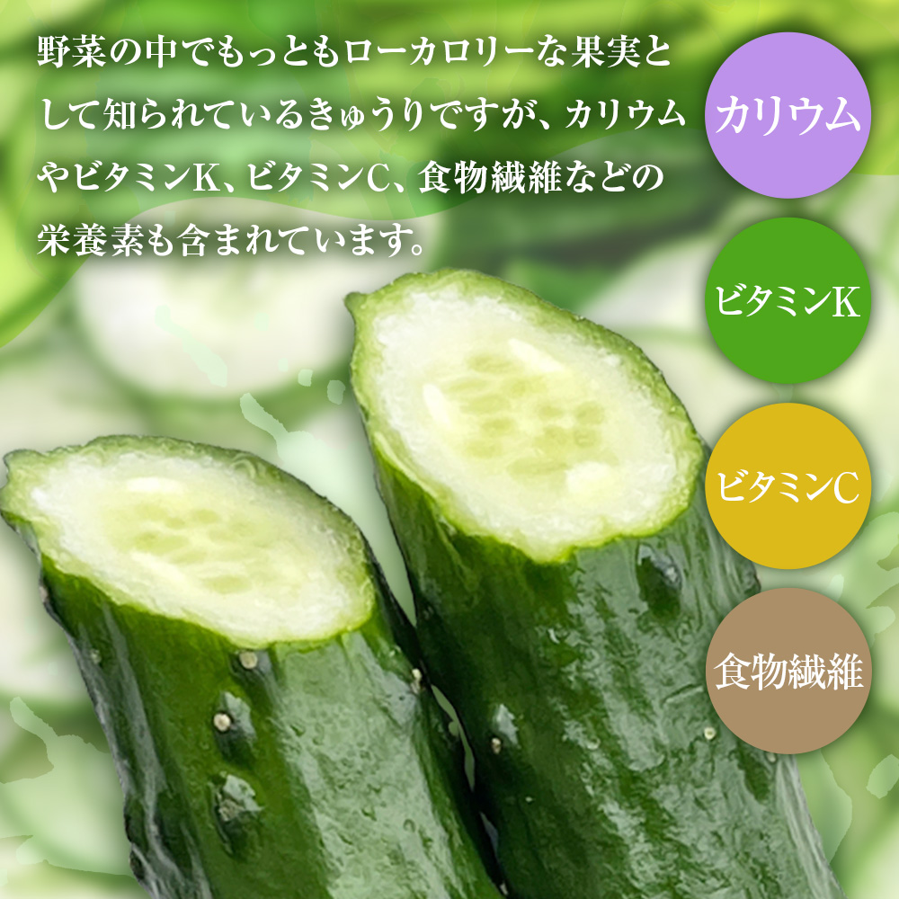 きゅうり 2kg 2キロ キュウリ 野菜 新鮮 サラダ 漬物 浅漬け ぬか漬け 酢の物 炒め物 健康 高知県 土佐清水市【R01451】