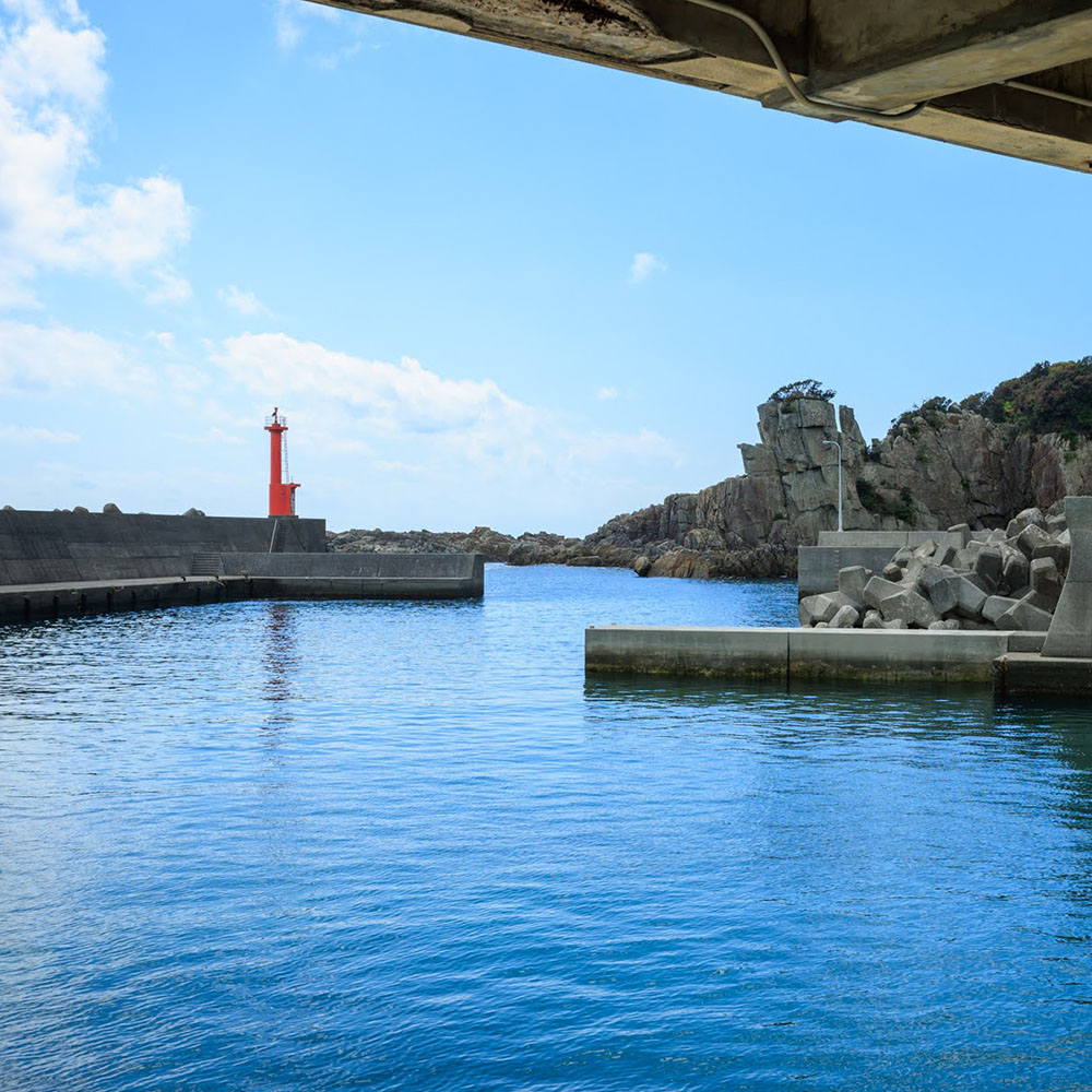 足摺地区 集落歩きツアー 2人分 観光 地元ガイド付き チケット あしずり岬 足摺半島 漁港 伊佐漁港 家族旅行 旅行 国内旅行 自然 神社 文化 徒歩 高知県 高知 土佐清水市 足摺岬【R01503】