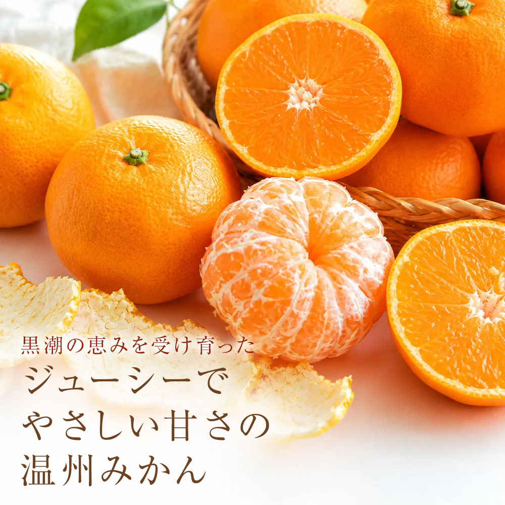 温州みかん 小粒っ子 1kg 傷み補償 300g 柑橘 果物 フルーツ 不揃い オレンジ 訳アリ 蜜柑 果実 みかん 極早生 早生 晩生 光センサー選果 みかん職人武田屋 高知県 土佐清水市【R01789】