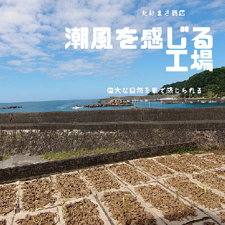 伝統の宗田節納屋　見学＆体験券（1グループ4名）観光 チケット 鰹節工場見学 夏休み 自由研究 【R00642】