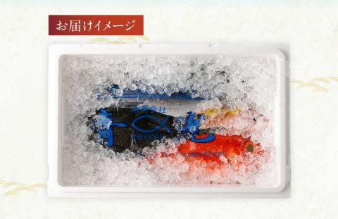 【10回定期便】季節の鮮魚 おまかせお楽しみセット（20万円ダイヤモンドコース）天然魚 食べ比べ 魚介類 海鮮料理【J00051】