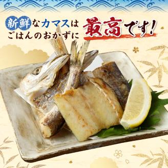 無添加 カマスの干物（３袋）計10枚～13枚入り 開き 小分け 冷凍 魚介 おつまみ 惣菜 おかず 焼き魚【R00020】