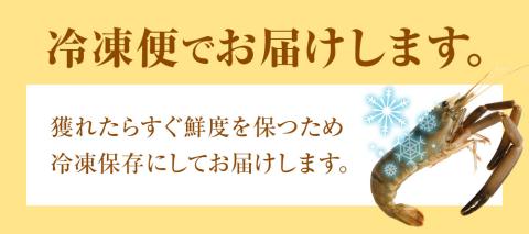 天然テナガエビ１パック（冷凍 約220g）川えび 素揚げ から揚げ 煮付け 甲殻類 冷凍 川 エビ 天然 テナガエビ 手長エビ 高知県産 冷凍配送 【R00026】