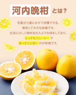 【減農薬 訳あり】谷川果樹園の河内晩柑4キロ（サイズ混合）フルーツ みかん 柑橘 果物  夏文旦 夏ぶんたん バンカン 八朔 家庭用【R00144】