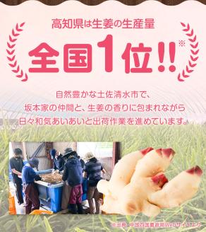 【先行受付】新生姜２kg 季節限定 農家直送 2キロ 甘酢漬け ガリ 佃煮 ジンジャーエール しょうが ショウガ 佃煮 甘酢漬け 食品 新鮮 温まる 温活 冷え対策 国産【R01548】