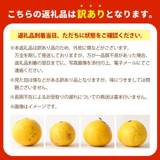 【令和８年 4月発送】<訳あり> 谷川果樹園の小夏５kg 日向夏 みかん 柑橘 フルーツ こなつ ニューサマーオレンジ  果物 美味しい ワケあり 訳 自宅用 おやつ  高知 【R00238】