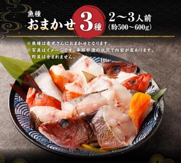 旬の地魚おまかせ３種 鍋セット500g～600g（2人～3人前）お楽しみ 海鮮鍋 切り身 カット魚 豪華 海の幸 魚介 シーフード【R00281】