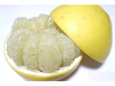 【R8年発送】早川農園の土佐文旦（５kg） 柑橘 フルーツ みかん ミカン 果物 果実 5キロ ザボン ぶんたん ブンタン おやつ デザート 甘い 美味しい ギフト 土佐 名物 国産【R00345】