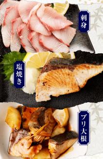 【令和８年３月発送】土佐清水産天然ぶり まるごと１本（5kg～8kg）下処理なし（内臓除去無し）【※着日指定不可※】鮮魚 鰤 ブリ ぶり大根 刺身 ぶりしゃぶ 天然【R00873】