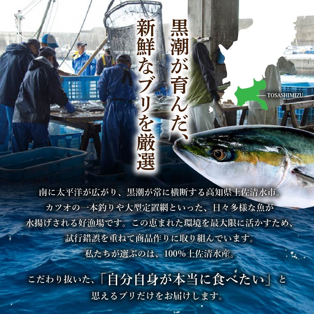 【先行受付】土佐清水産天然ぶり まるごと１本（5kg～8kg）下処理なし（内臓除去無し）【※着日指定不可※】鮮魚 鰤 ブリ ぶり大根 刺身 ぶりしゃぶ 天然【R00873】