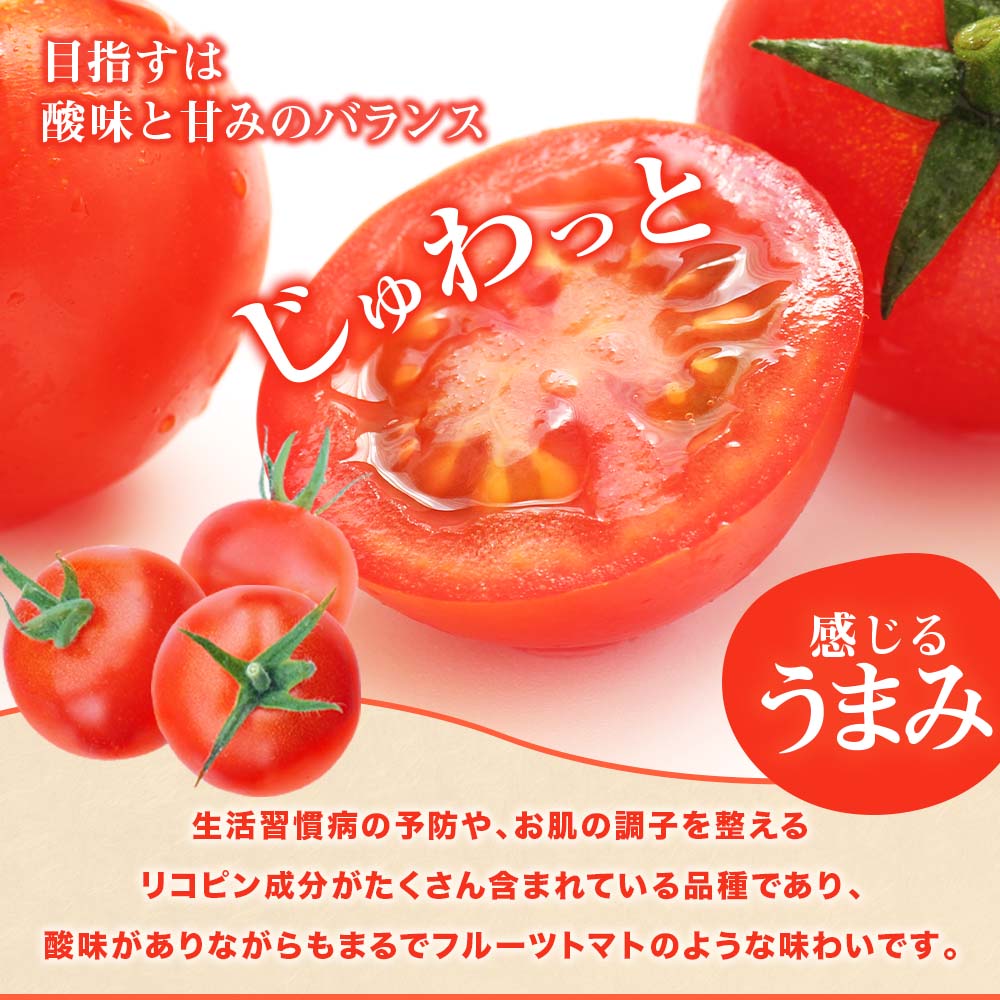 トマト魂！峯本の贅沢フルティカトマト（中玉サイズ）4kg 4キロ  ミディトマト フルーツトマト トマト ふるさと納税 フルティカ とまと サラダ 野菜 美味しい 甘い【R01033】