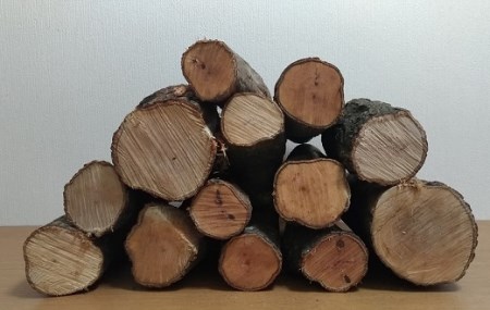 【先行予約：令和8年2月以降順次発送予定】ウバメガシの薪1箱（18kg 長さ約30cm）うばめがし アウトドア キャンプ ストーブ 暖炉 災害備蓄 防災グッズ 薪ストーブ 囲炉裏 窯 バーベキュー BBQ 木材 燃料 自然保護【R01049】