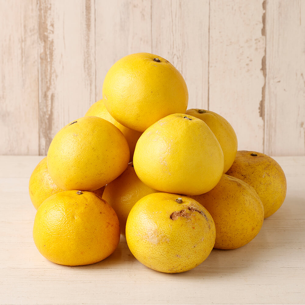 【令和８年発送】＜訳あり＞オレンジ園の土佐文旦５kg  柑橘 フルーツ ミカン みかん 蜜柑 ザボン ぶんたん ブンタン 果物 くだもの 果汁 おやつ デザート 食品 甘い 酸味【R01085】