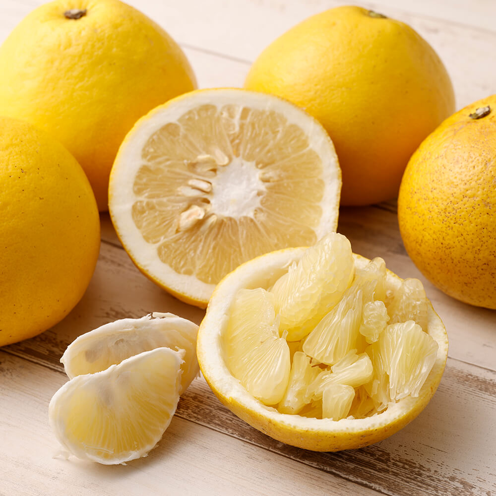 【令和８年発送】オレンジ園の土佐文旦５kg  柑橘 フルーツ ミカン みかん 蜜柑 ザボン ぶんたん ブンタン 果物 くだもの 果汁 おやつ デザート 食品 甘い 酸味【R01088】