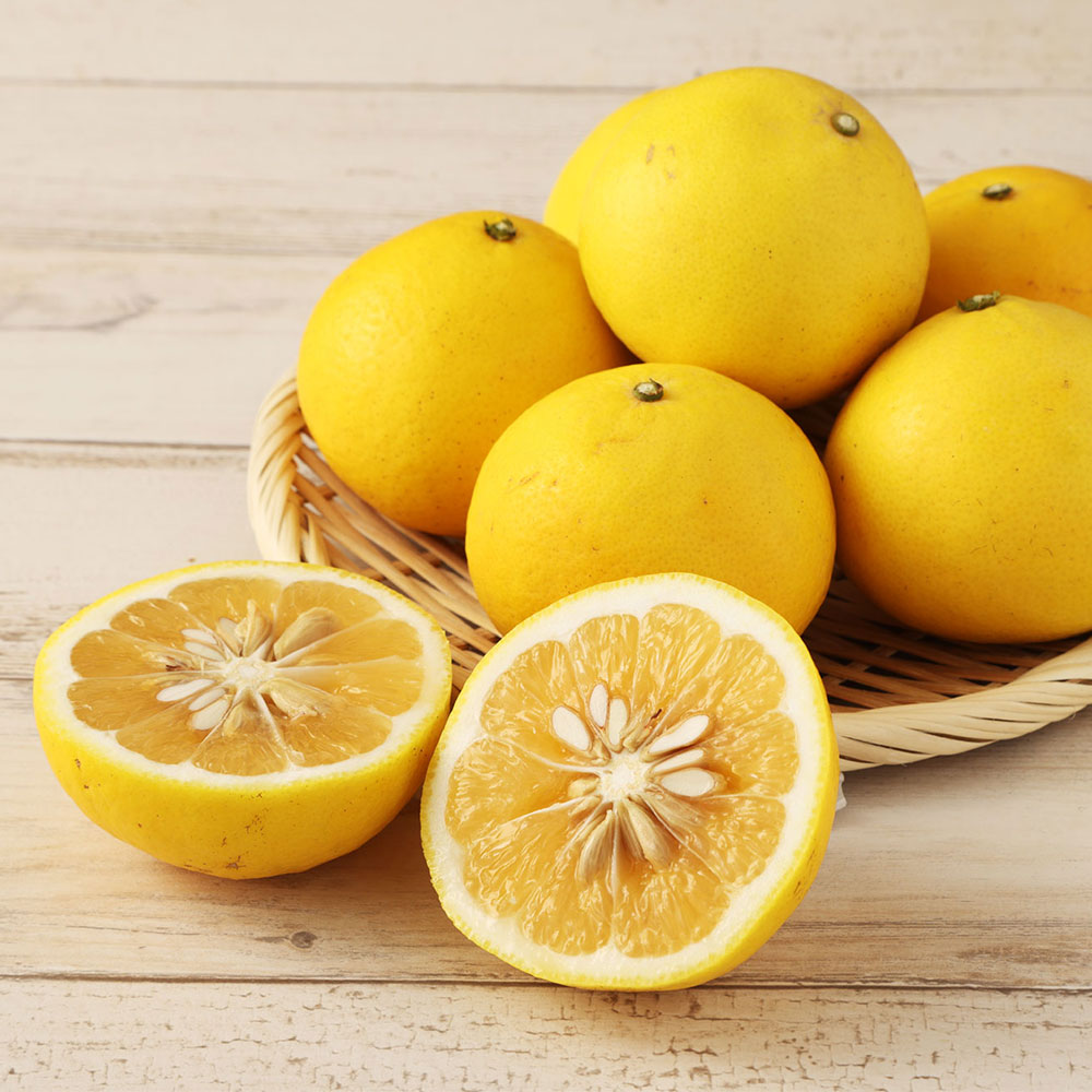 【 令和８年4月発送】<訳あり>谷川果樹園の小夏3kg 日向夏 みかん 柑橘 フルーツ こなつ ニューサマーオレンジ  果物 美味しい ワケあり 訳 自宅用 おやつ  高知 【R01146】