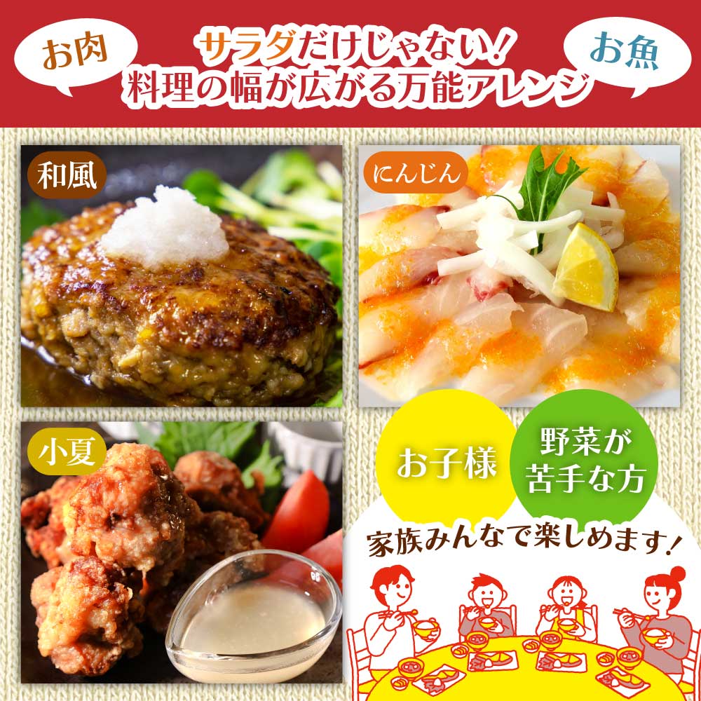 宗田だしドレッシング190ml×３本セット（にんじん・小夏・和風）調味料 サラダドレッシング 宗田 ノンオイル ドレッシング 高知県 【R01186】