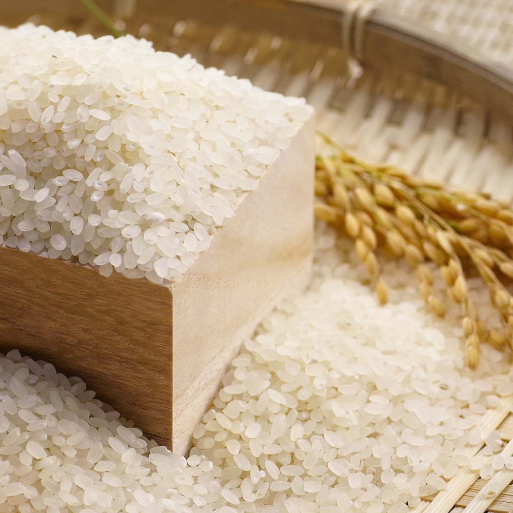 令和7年産 新米 コシヒカリ 精米 5kg 白米 お米 ご飯 ごはん おにぎり 米 こめ こしひかり 高知県産 美味しい おいしい【R01517】