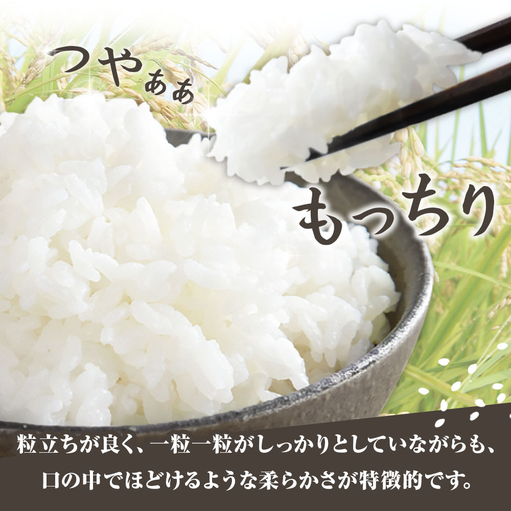 米 コシヒカリ 2025年8月より順次発送 令和7年産 新米 内容量10kg  白米 精米 お米 ご飯 ごはん おにぎり こめ こしひかり 高知県産 美味しい おいしい  常温  故郷納税 高知 土佐清水市【R01367-st1】