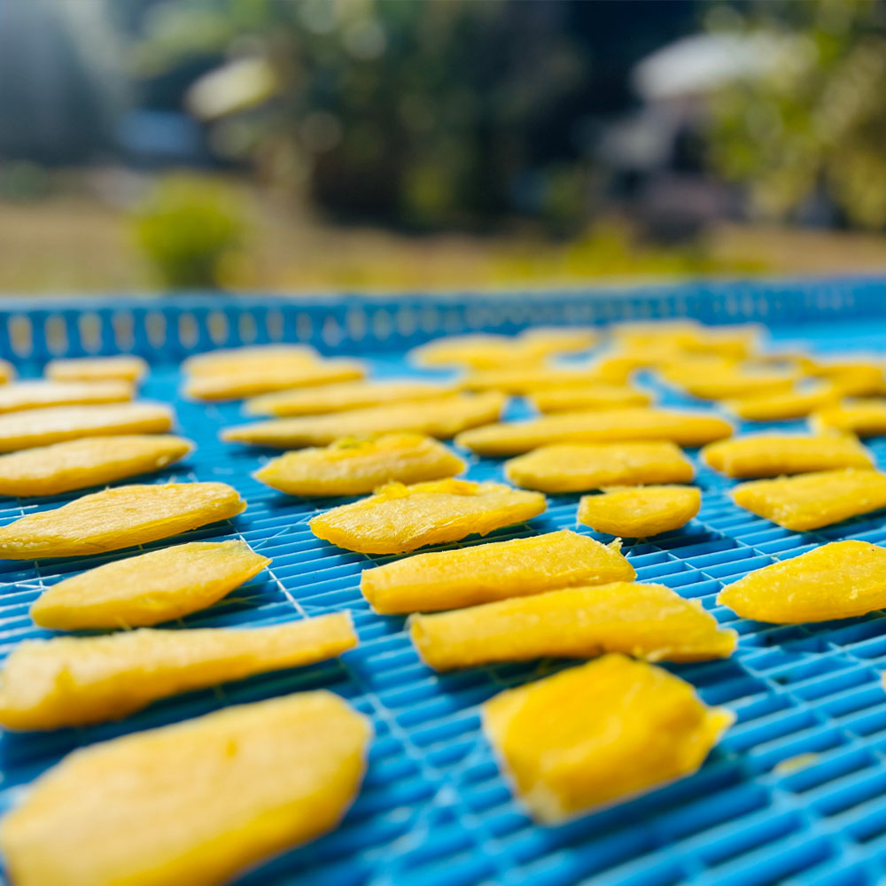 干し芋 ひいとい干し 100g×3袋 干しいも さつまいも サツマイモ 和菓子 お菓子 デザート 和スイーツ おやつ 甘い おいしい【R01515】