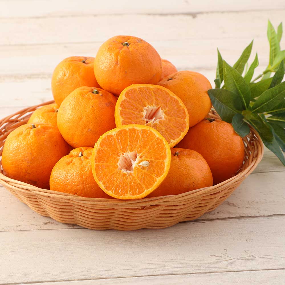 【令和8年発送】【訳あり】ぽんかん３kg（谷川果樹園）デコポンの親 みかん 蜜柑 ミカン 不知火 しらぬい 柑橘 かんきつ ポンカン フルーツ オレンジ 果物 くだもの 果汁 甘い【R01375】