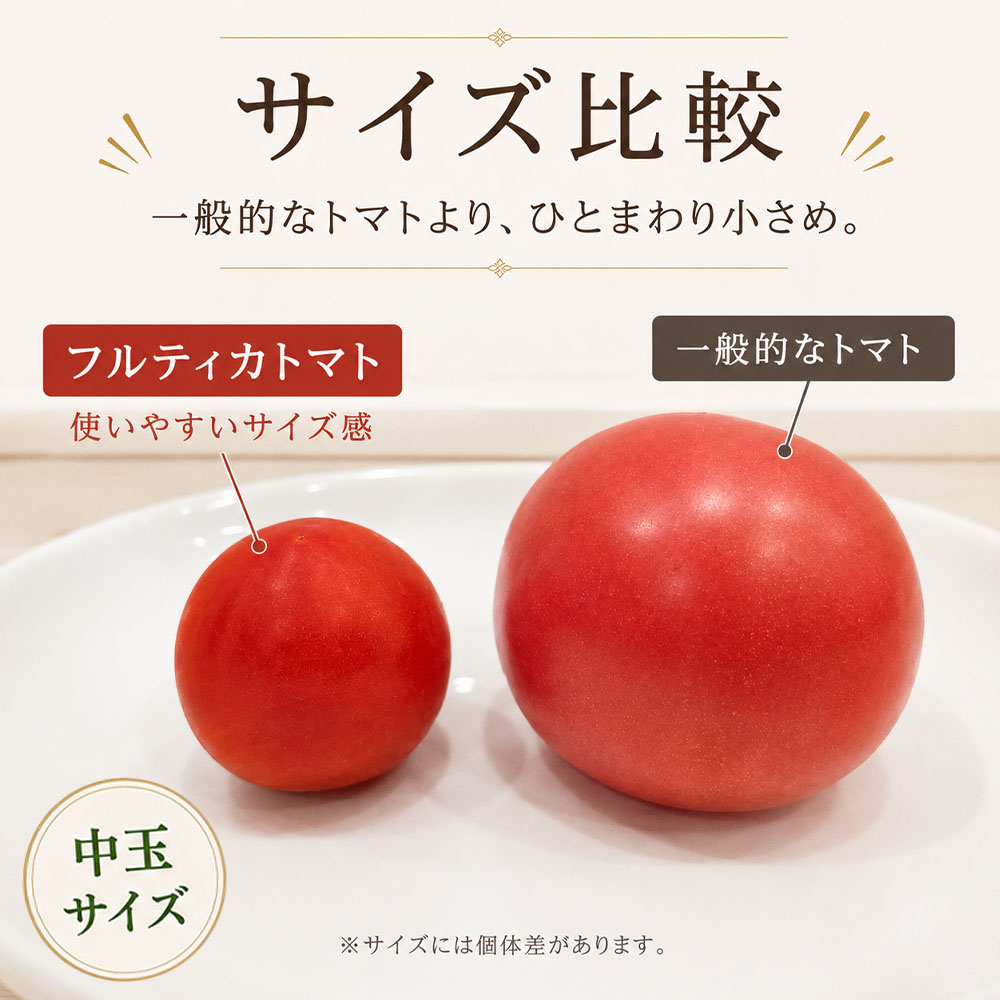【11月発送】トマト魂！峯本の贅沢フルティカトマト（中玉サイズ）1kg 1キロ ミディトマト トマト ふるさと納税 フルティカ とまと サラダ 野菜 美味しい【R01409】